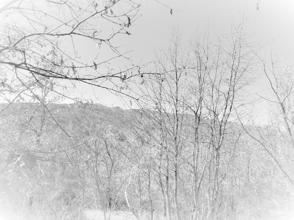 paesaggio autunnale bianco e nero sentirsi soli