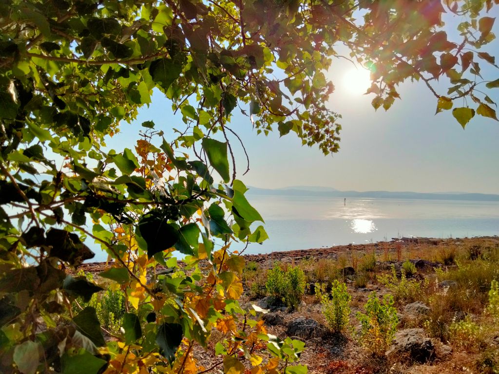nuova luce sulle esperienze vissute DBP
